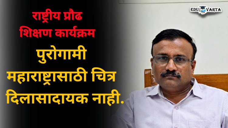 नवभारत साक्षरता कार्यक्रमला यावे लोकचळवळीचे स्वरूप - डॉ. महेश पालकर  