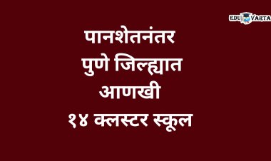 पुणे जिल्ह्यात आणखी 14 समूह शाळा ; गट शिक्षण अधिकाऱ्यांकडून प्रस्ताव सादर  