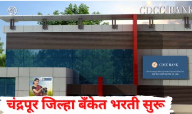 चंद्रपूर जिल्हा बँकेत लिपीक, शिपाई पदांसाठी भरती; जाहिरात प्रसिद्ध अर्ज  सुरू 