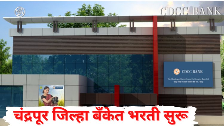 चंद्रपूर जिल्हा बँकेत लिपीक, शिपाई पदांसाठी भरती; जाहिरात प्रसिद्ध अर्ज  सुरू 