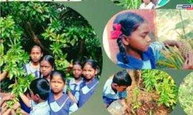 परसबाग तयार करून बक्षीसे मिळवा; शिक्षण विभागाकडून स्पर्धा