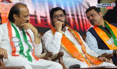 पक्ष फोडायचा अन् आमदार गोळा करायचे मुलांनी पहिलीपासून शिकायचं म्हणा ना, मराठी लेखकाने केली हिंदी सक्तीकरणाची चिरफाड 