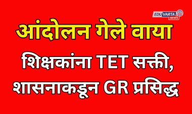 शिक्षकांच्या नोकऱ्या 100 टक्के जाणार; TET सक्तीचा जीआर निघाला, सर्वोच न्यायालयाच्या निर्णयाची अंमलबजावणी