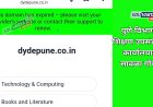 ऑनलाइन प्रक्रियेत DYD Pune नापास; महिन्याभरापासून वेबसाईट बंद,डोमेन एक्सपायर 