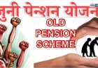 न्यायालयाचा ऐतिहासिक निर्णय! 'त्या' शिक्षकांना जुनी पेन्शन लागू करण्याचे स्पष्ट निर्देश 