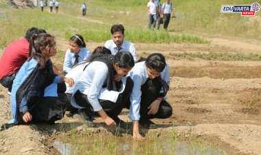 कृषी पदव्युत्तर प्रवेशाच्या तिसऱ्या फेरीला पुन्हा स्थगिती; नवीन वेळापत्रक लवकरच जाहीर होणार 
