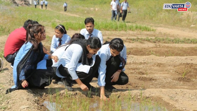 कृषी पदव्युत्तर प्रवेशाच्या तिसऱ्या फेरीला पुन्हा स्थगिती; नवीन वेळापत्रक लवकरच जाहीर होणार 