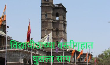 बापरे... काय सांगता ! विद्यापीठाच्या वसतिगृहात घुसला साप      