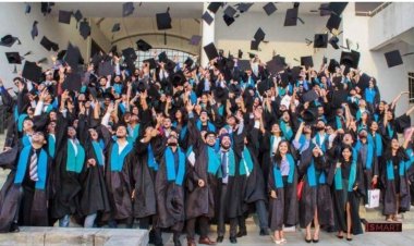 MBA ची नुसती डिग्री उपयोगाची नाही; त्यानंतर काय करावे? विद्यापीठाच्या अधिष्ठातांनी सांगितले पर्याय...