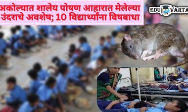 विद्यार्थ्यांना स्वच्छ आहाराचे धडे, शालेय पोषणात मात्र मेलेल्या उंदराचे हाडे! अकोल्यात धक्कादायक प्रकार