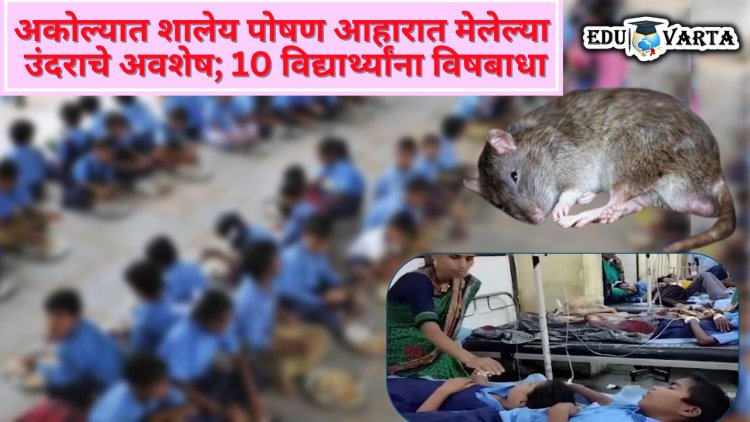 विद्यार्थ्यांना स्वच्छ आहाराचे धडे, शालेय पोषणात मात्र मेलेल्या उंदराचे हाडे! अकोल्यात धक्कादायक प्रकार