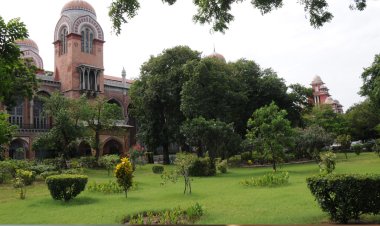 Madras University Result 2024: Scorecards Released, check details