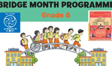 NCERT introduces bridge month programme for class 6 amid textbook transition