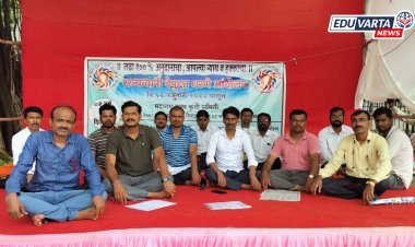 78 कॉलेजमधील प्राध्यापकांना आश्वासनांचे 'गाजर'?