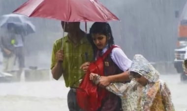 शाळा, महाविद्यालयांना 26 जुलै रोजी सुध्दा सुट्टी 