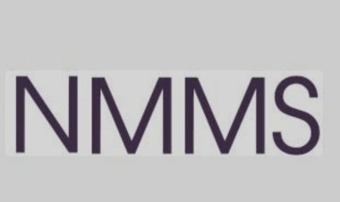 ‘एनएमएमएस’ शिष्यवृत्ती परीक्षा अर्ज भरण्यास सुरुवात; परीक्षा 22 डिसेंबरला