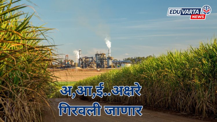 साखर कारखान्याच्या परिसरातील फडात गिरवली जाणार अ,आ,ई अक्षरे;  साखर आयुक्तांचे आदेश