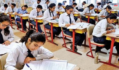 परीक्षेदरम्यान पर्यवेक्षक प्राध्यापकाचे विद्यार्थिनीशी आक्षेपार्ह वर्तन; कारवाईचे  आदेश