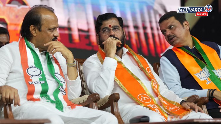पक्ष फोडायचा अन् आमदार गोळा करायचे मुलांनी पहिलीपासून शिकायचं म्हणा ना, मराठी लेखकाने केली हिंदी सक्तीकरणाची चिरफाड 
