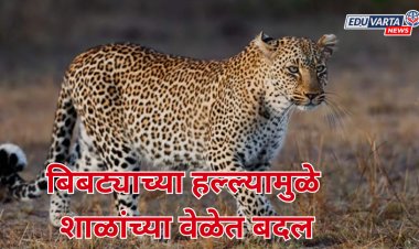 बिबट्याच्या हल्ल्यामुळे शाळांच्या वेळेत बदल;जिल्हाधिकाऱ्यांचे आदेश