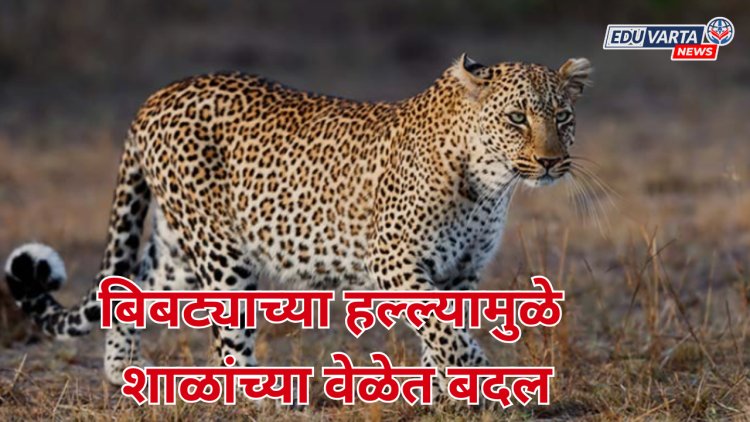 बिबट्याच्या हल्ल्यामुळे शाळांच्या वेळेत बदल;जिल्हाधिकाऱ्यांचे आदेश