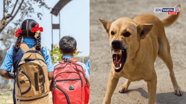 भटक्या कुत्राचा दोन विद्यार्थ्यांवर हल्ला, ६ वर्षाच्या भावाला वाचवताना बहिण गंभीर जखमी 