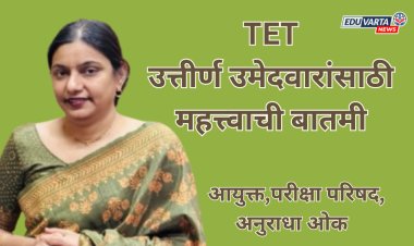 टीईटी उत्तीर्ण उमेदवारांसाठी महत्त्वाची बातमी; पात्रता प्रमाणपत्रांचे वाटप सुरू