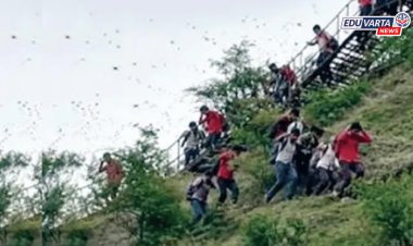 पर्यावरण मोहिम! वृक्षारोपण करायला डोंगरावर गेलेल्या ४० विद्यार्थ्यांवर मधमाशांचा प्राणघातक हल्ला 