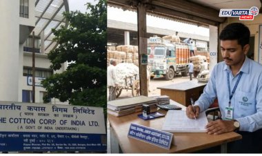 पदवीधरांना सरकारी नोकरीची सुवर्णसंधी! कॉटन कॉर्पोरेशन ऑफ इंडियामध्ये मोठी पदभरती जाहीर