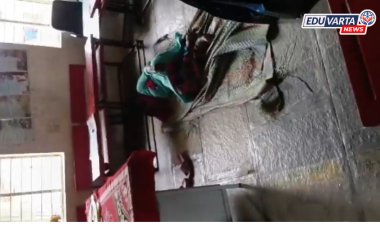 शाळेच्या वेळेत मुख्याध्यापिका झोपेत; संतप्त पालकांनी शाळेला ठोकले कुलूप, व्हिडिओ व्हायरल