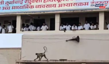 वानरांचा उच्छाद! नंदुरबारमध्ये ४ विद्यार्थिनी आणि एका शिक्षकाला चावा; शाळा-कॉलेज बंद ठेवण्याची नामूष्की