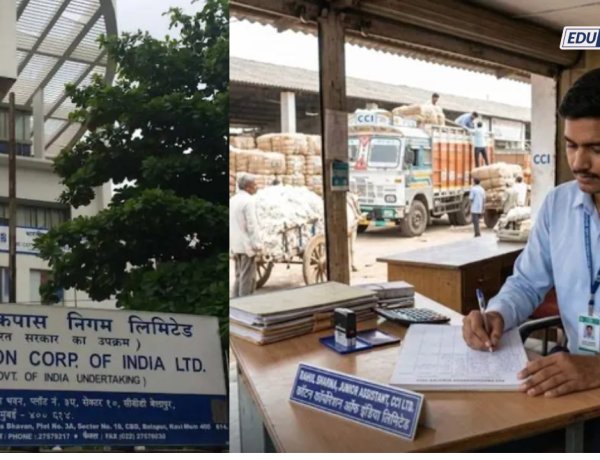 पदवीधरांना सरकारी नोकरीची सुवर्णसंधी! कॉटन कॉर्पोरेशन ऑफ इंडियामध्ये मोठी पदभरती जाहीर