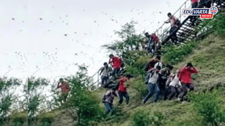 पर्यावरण मोहिम! वृक्षारोपण करायला डोंगरावर गेलेल्या ४० विद्यार्थ्यांवर मधमाशांचा प्राणघातक हल्ला 