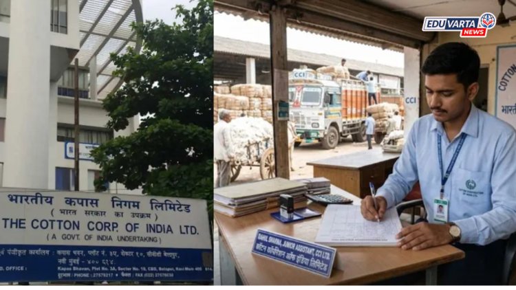 पदवीधरांना सरकारी नोकरीची सुवर्णसंधी! कॉटन कॉर्पोरेशन ऑफ इंडियामध्ये मोठी पदभरती जाहीर
