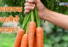 पात्र उमेदवारांच्या हाती प्राध्यापक भरतीचे गाजर? NOC मिळेनात..