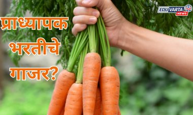 पात्र उमेदवारांच्या हाती प्राध्यापक भरतीचे गाजर? NOC मिळेनात..