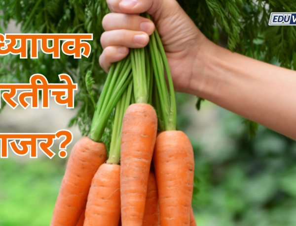 पात्र उमेदवारांच्या हाती प्राध्यापक भरतीचे गाजर? NOC मिळेनात..
