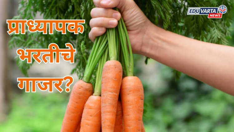 पात्र उमेदवारांच्या हाती प्राध्यापक भरतीचे गाजर? NOC मिळेनात..