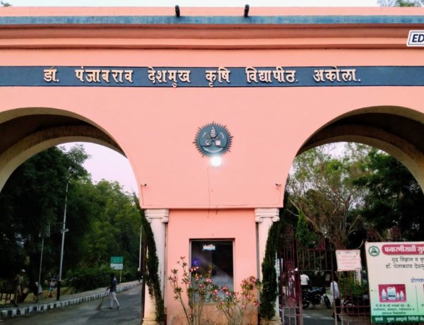 डॉ. पंजाबराव देशमुख कृषी विद्यापीठात मोठा घोटाळा; संशोधन संचालकांसह सात जणांवर गुन्हा दाखल